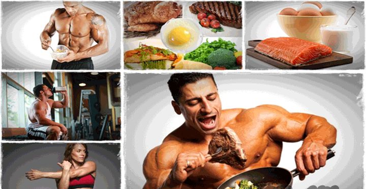 dinh dưỡng thể h&igrave;nh tốt nhất cho cơ thể