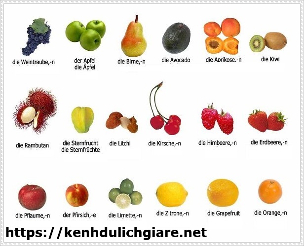 Danh từ số nhiều cũng cần ch&uacute; &yacute; khi học tiếng Đức