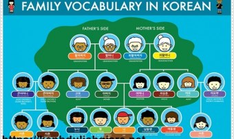 Học từ vựng tiếng Hàn siêu nhanh với 5 cách này