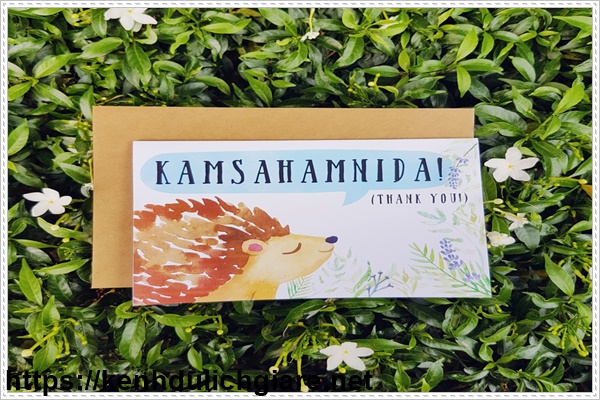 Kamsahamnida l&agrave; c&aacute;ch n&oacute;i cảm ơn tiếng H&agrave;n trang trọng nhất