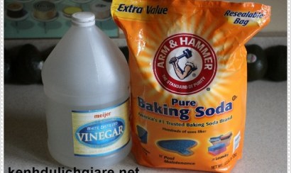 Review top 2 loại bột phân hủy hầm cầu tốt nhất hiện nay
