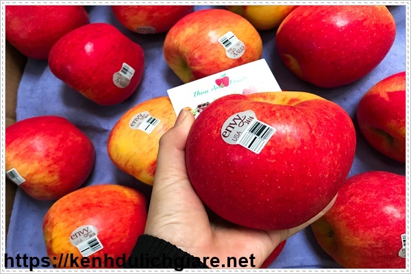 Trái cây là một loại dinh dưỡng thể hình không thể thiếu